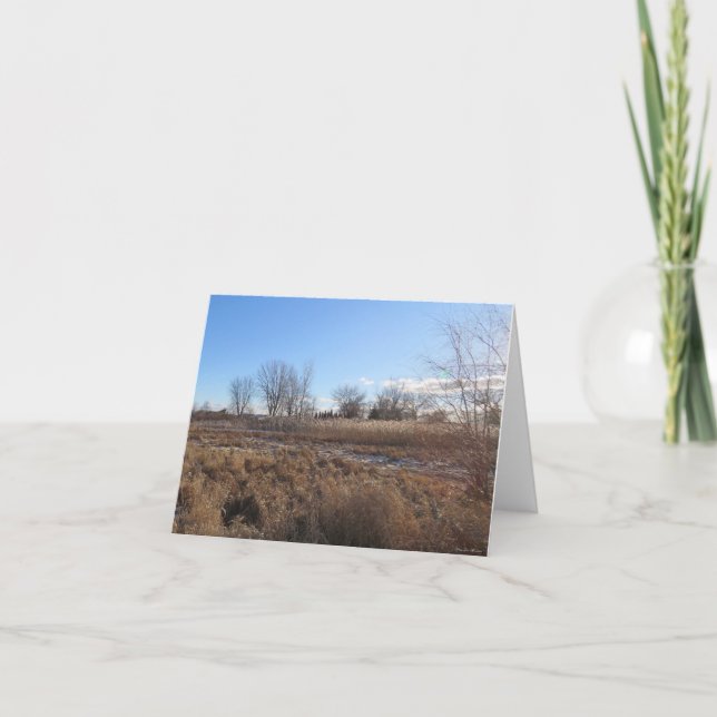 Céu azul pacífico - Cartão de saudação do Vazio (Frente)