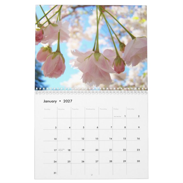 Céu Azul Primavera Rosa Calendário Natureza Árvore (Jan 2027)