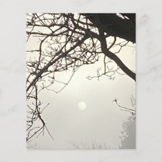 Céu Branco E Sol Dramaticamente Enquadrados Por Ár