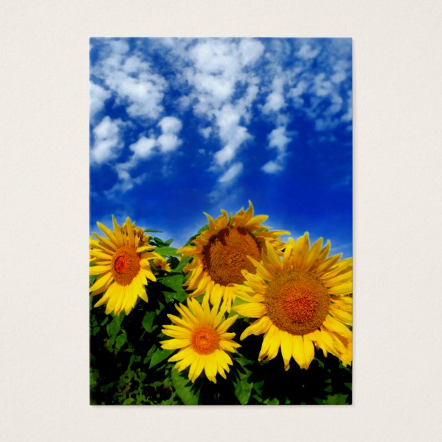 Céu e flor, cartões de visitas (Frente)