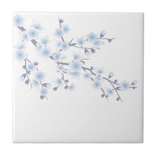 Céu Floral de Cerejeira em Flor Azul