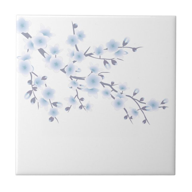 Céu Floral de Cerejeira em Flor Azul (Frente)