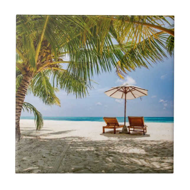 Céu temperamental das palmeiras | (Frente)