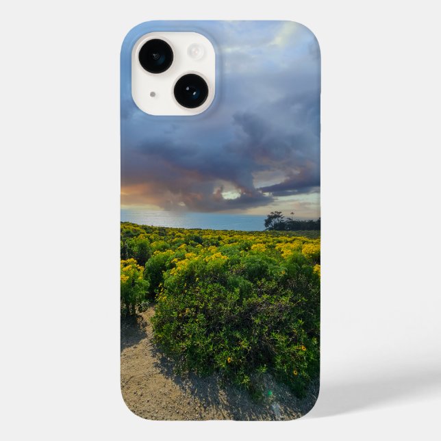 Céus Dramáticos no pôr do sol no ponto (Verso)