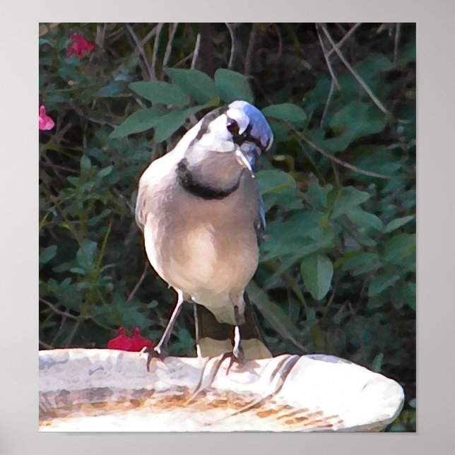 CF - Poster de Jay Azul Engraçado (Frente)