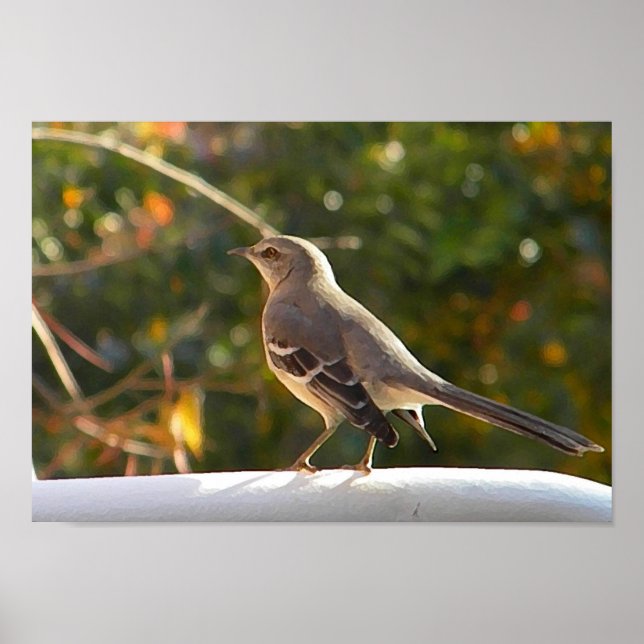 CG- Poster Mockingbird (Frente)