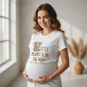 Chá de Bebê Menino Elefante Safari Boho Amendoim B