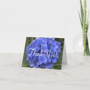 chá de panela Azul Hydrangea Obrigado Cartões Va