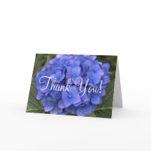 Chá de panela Azul Hydrangea Obrigado Cartões Vazi