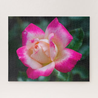 Chá Rosa Jigsera Quebra-cabeça