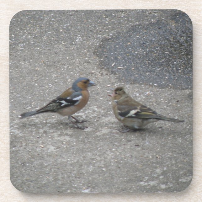 Chaffinch Feed Me Cork Porta copos (Frente)