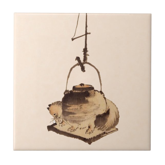 Chaleira de Tanuki (Frente)