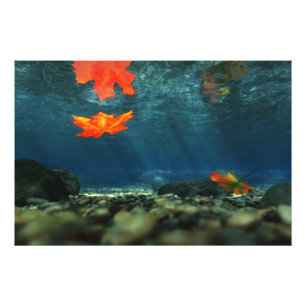 Chama no Impressão de Foto Água