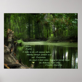 Chamada do poster de fotos do Sul