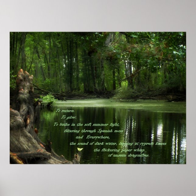 Chamada do poster de fotos do Sul (Frente)