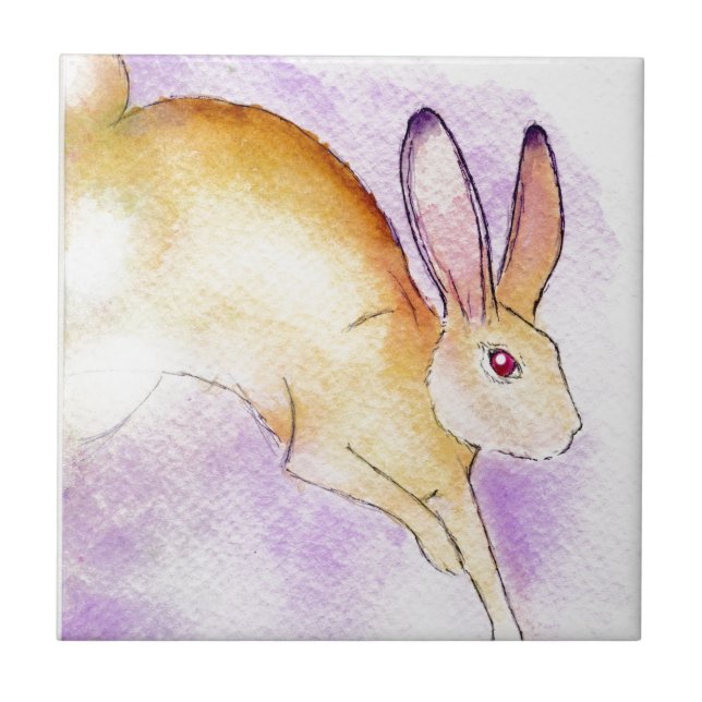 CHAMADA DO SELVAGEM (Frente)