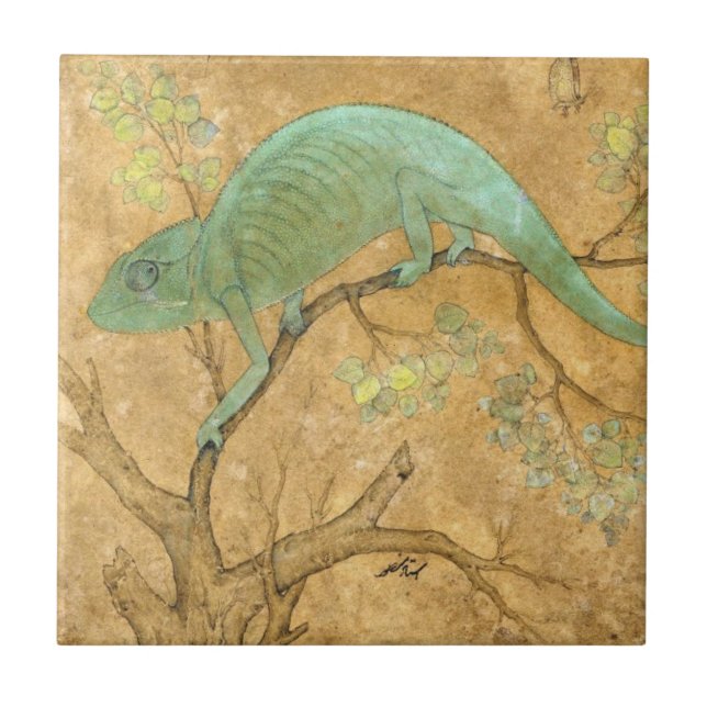 Chameleon (Lizard) (Réptil) (Arte Mughal) (Asiátic (Frente)