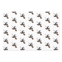 Chapéu de Bruxa e Broomstick