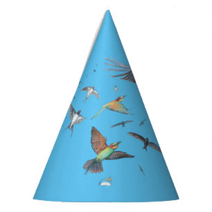 Chapéu De Festa Aves migratórias que rastreiam os seus voos Ilustr
