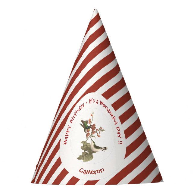 Chapéu De Festa Beija-flor-de-garganta-rubi, aniversário ou outro  (Frente)