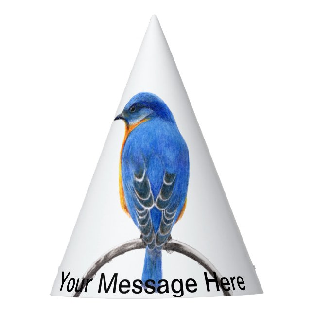 Chapéu De Festa Bluebird (Frente)