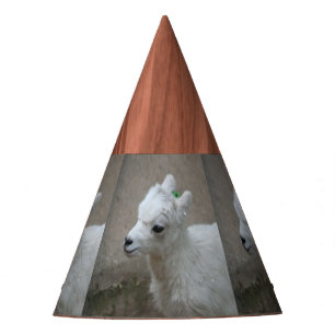 Chapéu De Festa cabra pequena