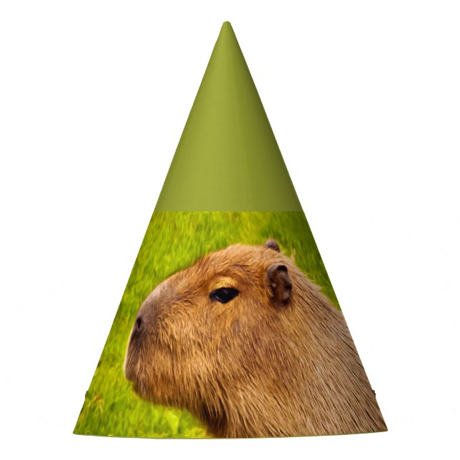 Chapéu De Festa Capivara (Frente)