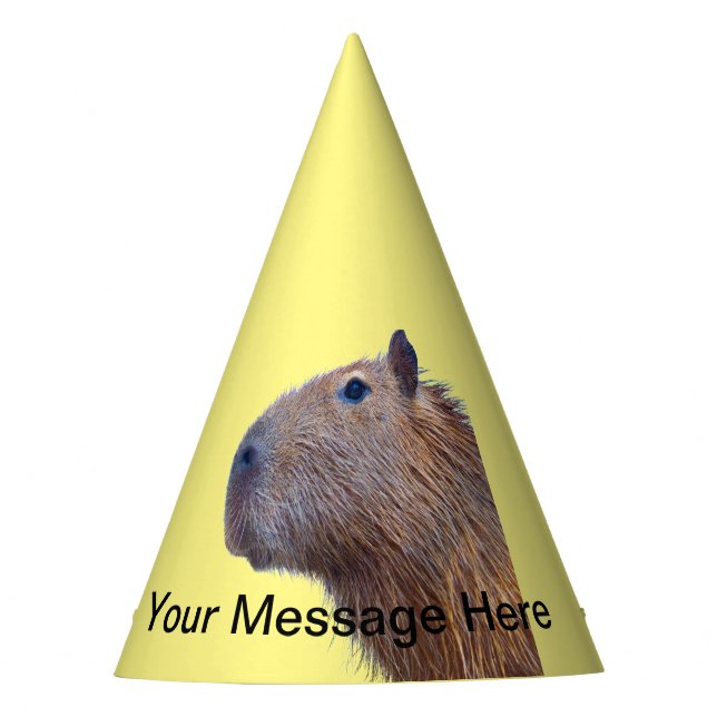 Chapéu De Festa Capybara (Frente)