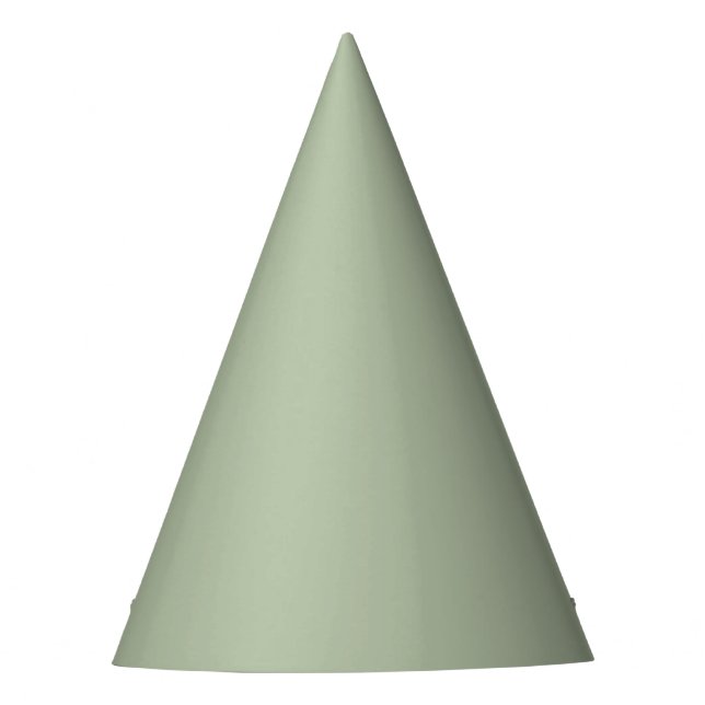 Chapéu De Festa Cor Verde Sálvia Claro Sólido (Frente)