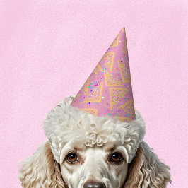 Chapéu De Festa Diversão Sprinkle Aussie, Aniversário de criança C