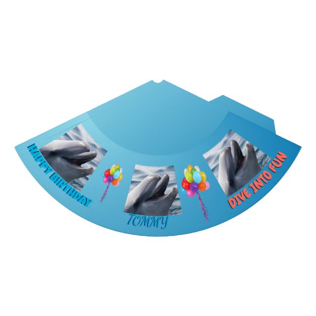 Chapéu De Festa Dolphin Splash Birthday (Frente)