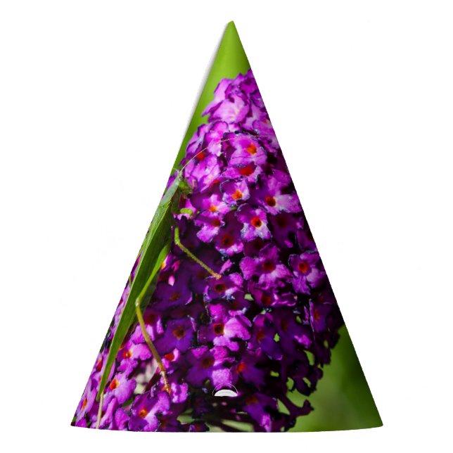 Chapéu De Festa energia katydid (Esquerda)