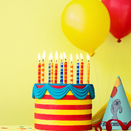 Chapéu De Festa Festa de aniversário Personalizada de Manateio e B