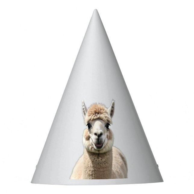 Chapéu De Festa Fluff & Friendship (Frente)