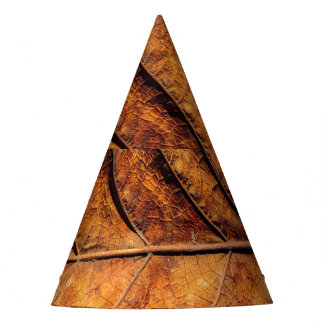 Chapéu De Festa Folha seca: fundo natural de textura.