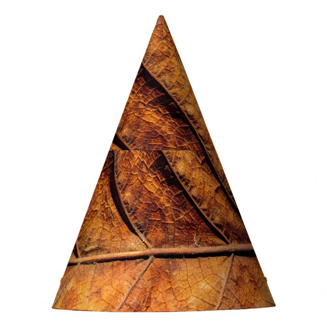 Chapéu De Festa Folha seca: fundo natural de textura. (Frente)