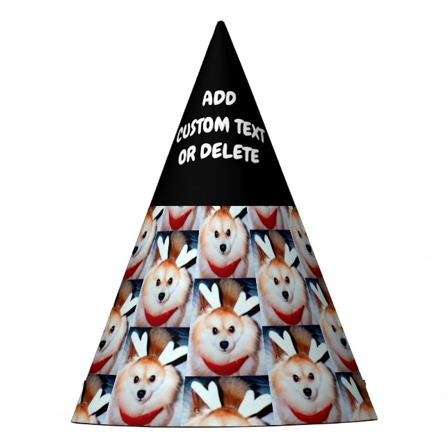 Chapéu De Festa Foto de Cachorro Aniversário DIY (Frente)