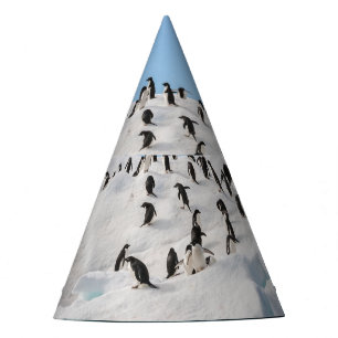 Chapéu De Festa Gentoo Penguin Antártica Iceberg Playtime