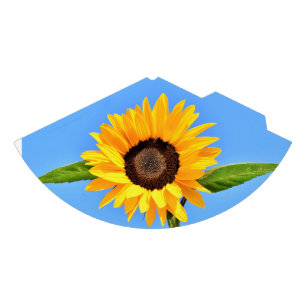 Chapéu De Festa Girassol Amarelo contra Sol no Céu Azul - Verão