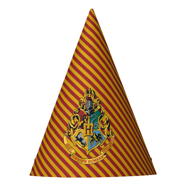 Chapéu De Festa Harry Potter | Aniversário de Hogwarts (Frente)