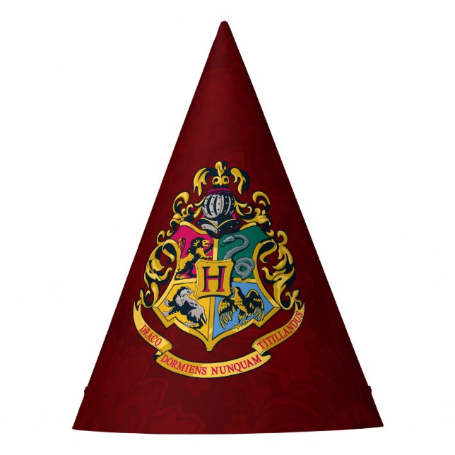 Chapéu De Festa Harry Potter | Hogwarts Crest (Frente)