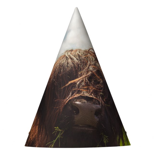 Chapéu De Festa Luz verde do campo verde da vaca em lata negra (Frente)