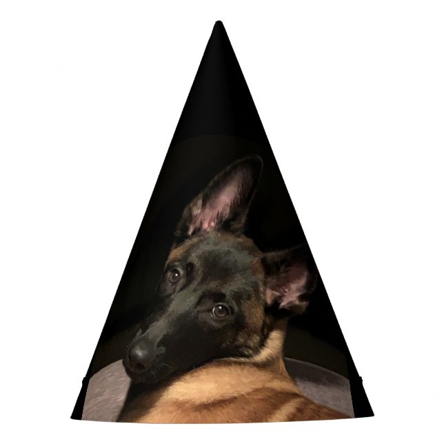 Chapéu De Festa Malinois Dog (Frente)