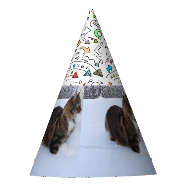 Chapéu De Festa norwegian forest cat in snow (Frente)
