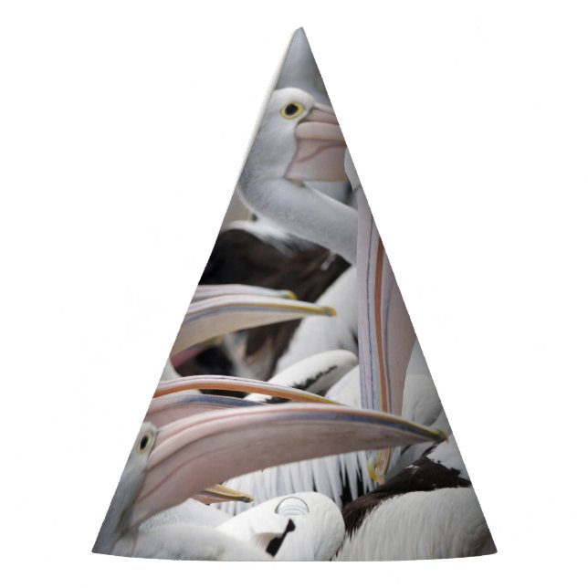 Chapéu De Festa Pelican Pod (Esquerda)