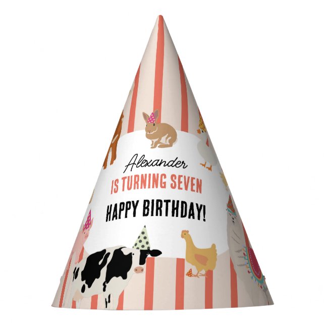 Chapéu De Festa Petting Zoo Party Animals Barnyard Birthday Theme (Frente)
