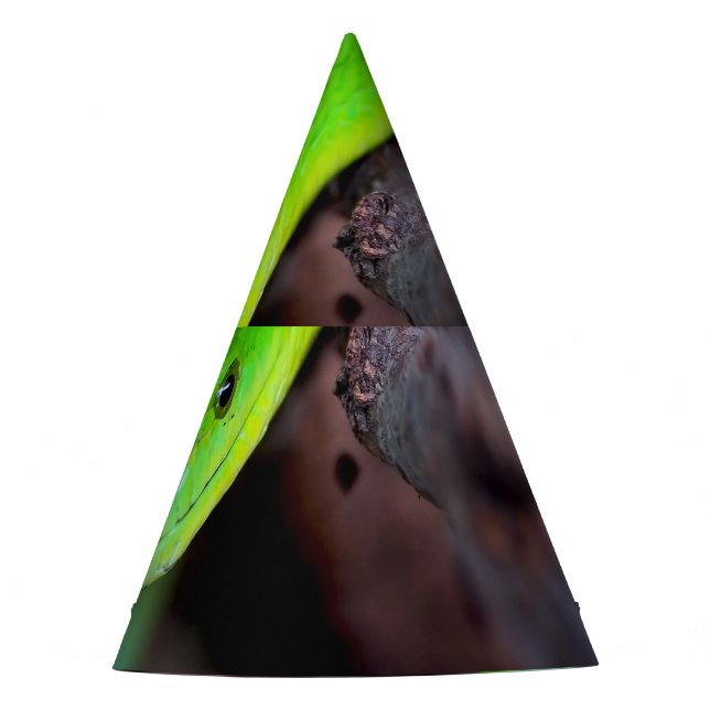 Chapéu De Festa Pitão do cobra verde (Frente)