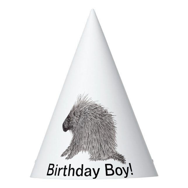 Chapéu De Festa Porcupine (Frente)
