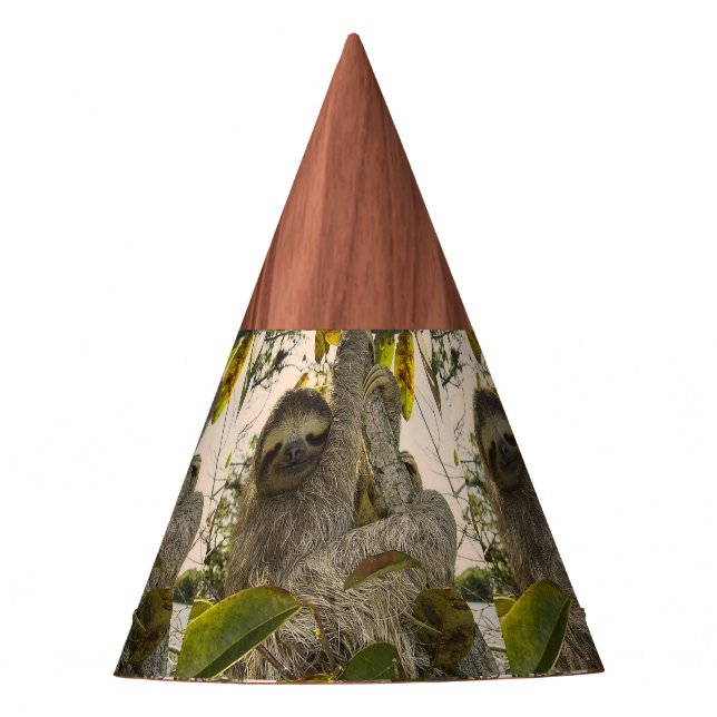 Chapéu De Festa Preguiça (Frente)