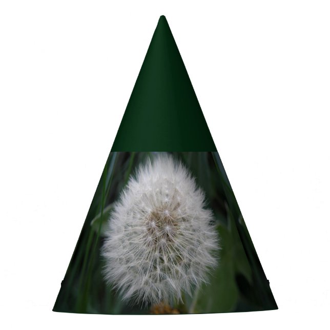 Chapéu De Festa Seeding Dandelion Flower Party Hat (Frente)